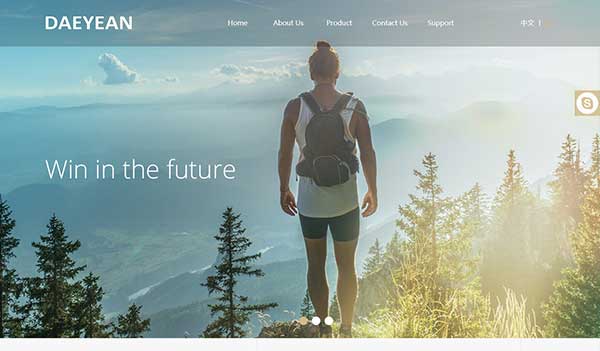 广州大延贸易有限公司